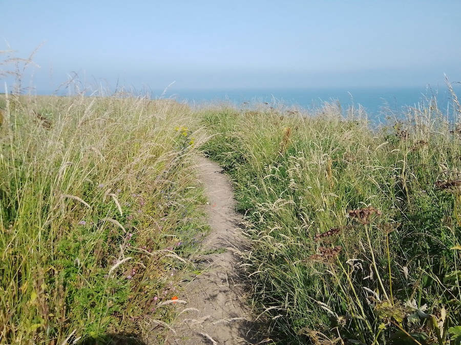 The Salt Path taps into a long history of searching for healing on England’s south-west coast