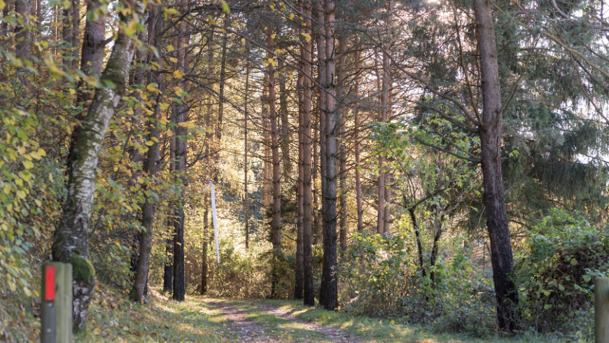 5 sentiers de randonnée à Val Di Gresta, Trentino