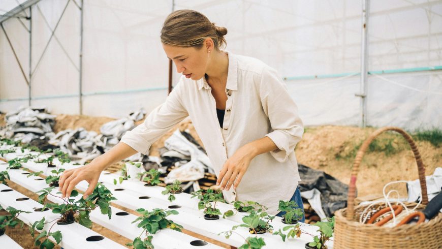 Étudiant en chemise à manches longues beige tenant une plante verte