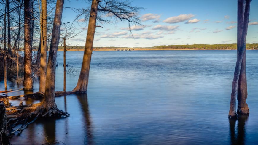 Jordan Lake Park, en Caroline du Nord, facture des frais d'entrée aux heures de pointe pour gérer les foules.