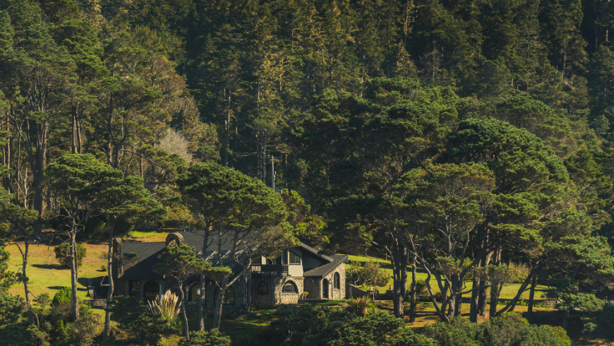 Hébergement écologique en pleine nature
