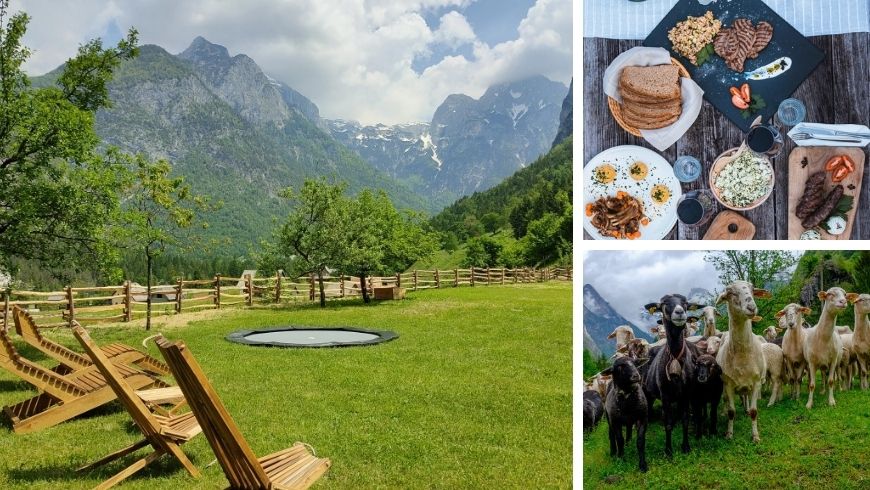 ferme biologique qui permet aux enfants de vivre au contact des animaux