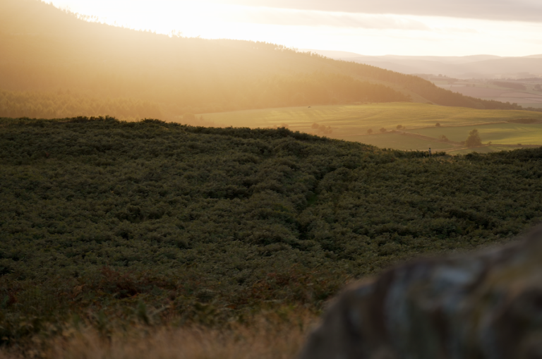 L'appel de Rothbury Estate célèbre le coup de pouce de la Saint-Valentin alors que deux donateurs donnent 1,5 million de livres sterling