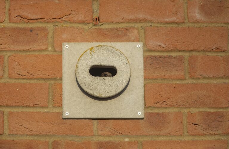 L’Écosse entre dans l’histoire en tant que premier pays britannique à inclure Swift Bricks dans sa législation