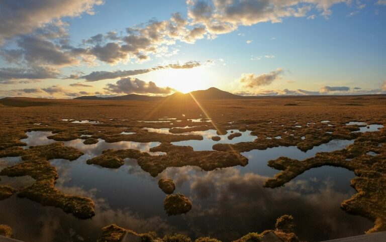 Pourquoi faire face aux fortes pluies dans le pays du whisky en Écosse montre comment économiser l'eau pour l'été