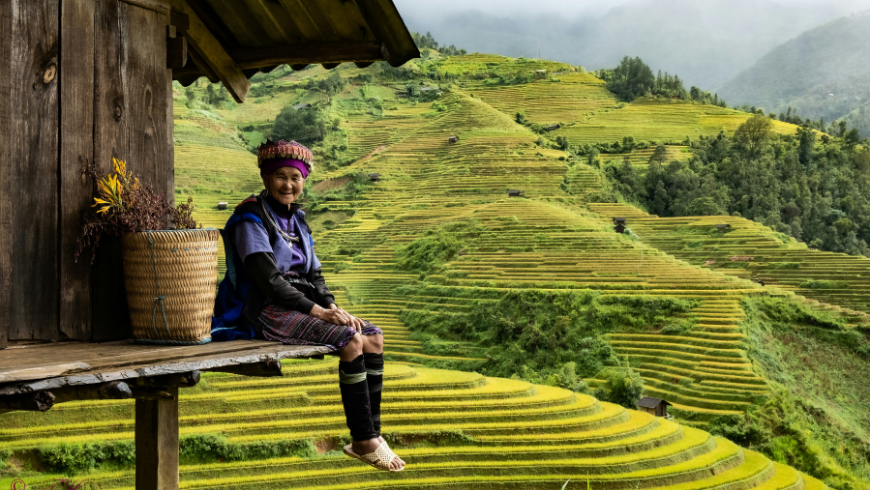 Femme locale dans les rizières, au nord du Vietnam