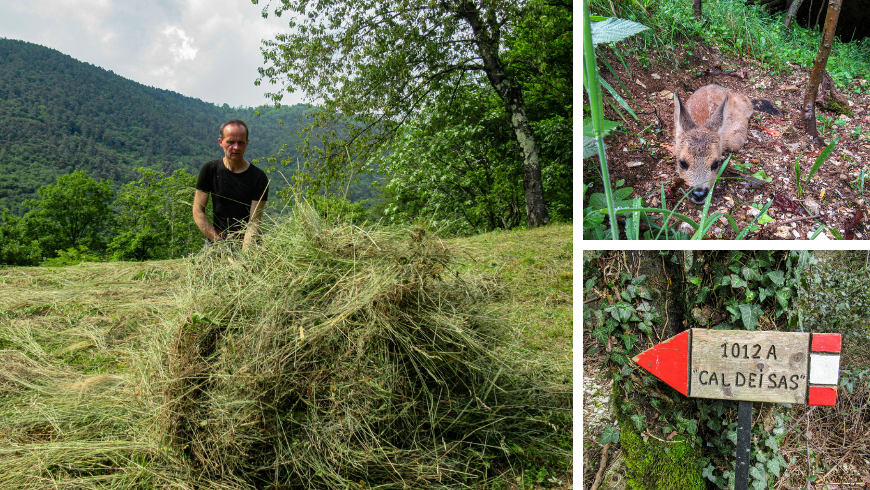 nature préservée près de l'agritourisme Cargador de Ron