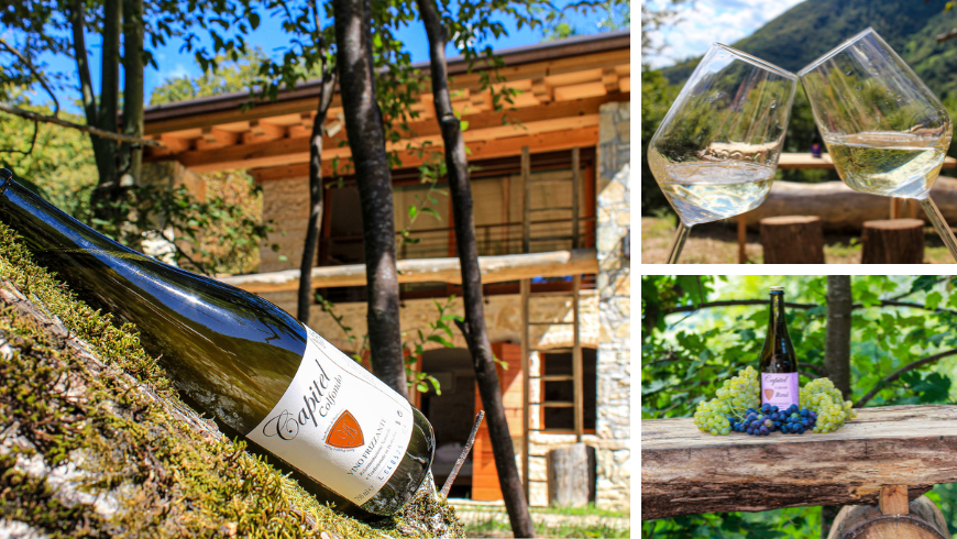Agriturismo bio Cargador, prosecco et verres à vin