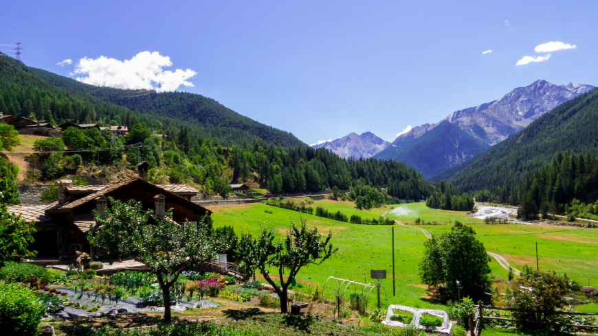 montagnes et champs verts