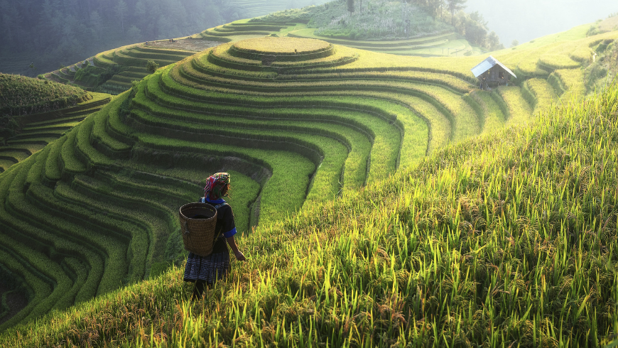 Voyager plus écologique au Vietnam