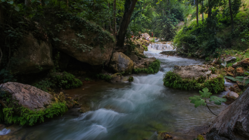 Écosystème fluvial naturel façonné par le débit d'eau, la végétation et la biodiversité.