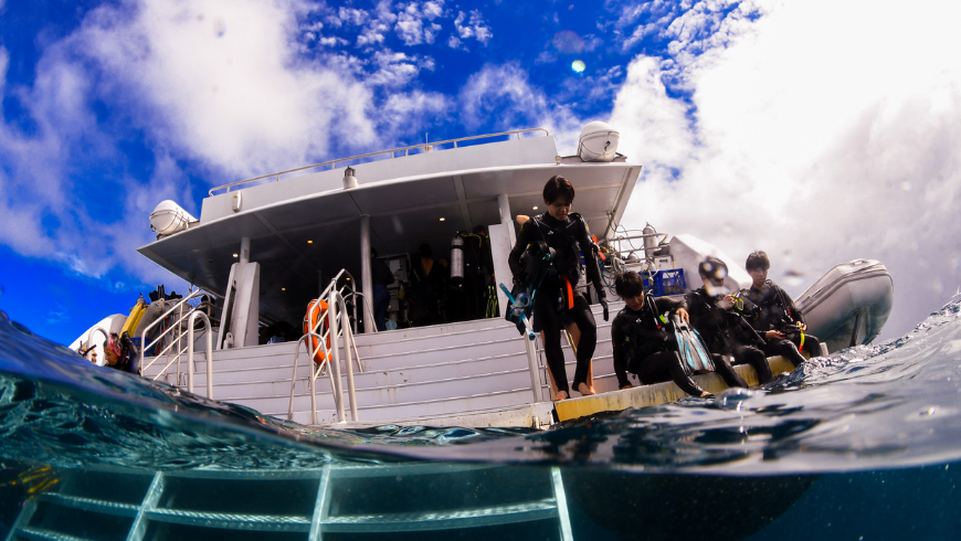 Opérateur de bateau pour le snorkeling et la plongée sous-marine dans la mer de la grande barrière de corail 