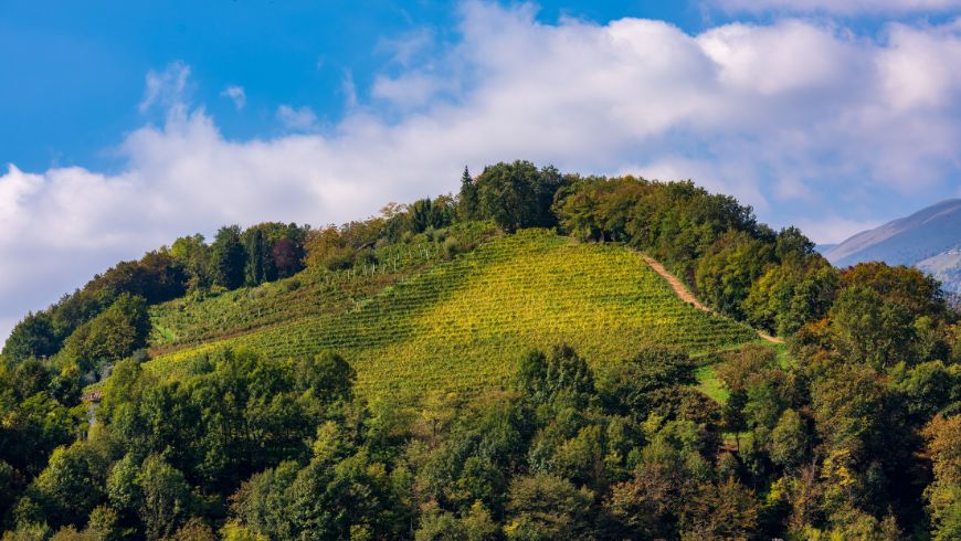 la route des collines de Valdobbiadene