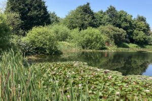 Deux ans plus tard : Meadfleet aide les développeurs à générer un gain net en biodiversité