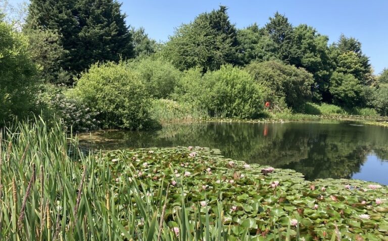 Deux ans plus tard : Meadfleet aide les développeurs à générer un gain net en biodiversité