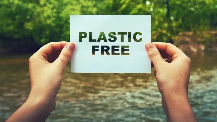 Mains tenant une pancarte « sans plastique », symbolisant la réduction du plastique et la durabilité environnementale.