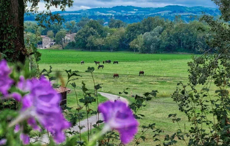Équitation dans la vallée de Trebbia
