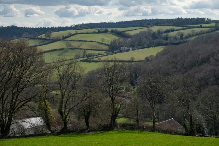 Interdiction de la chasse sur sentier proposée en Angleterre et au Pays de Galles