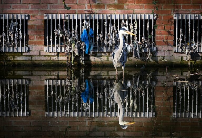 L'Angleterre constate une baisse des rejets d'eaux usées non traitées, mais la pollution reste une crise