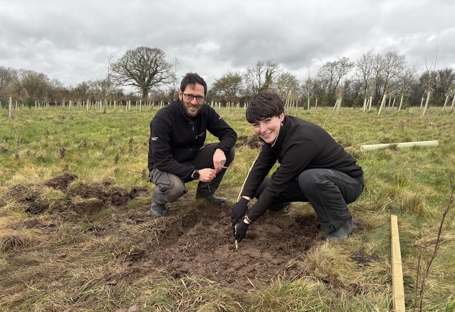 Creating sustainable supply of declining tree species will support floodplain habitat restoration