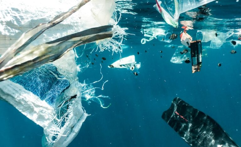 La plupart des déchets plastiques sont contaminés – notre nouvelle technologie de recyclage « nano » embrasse cette réalité désordonnée