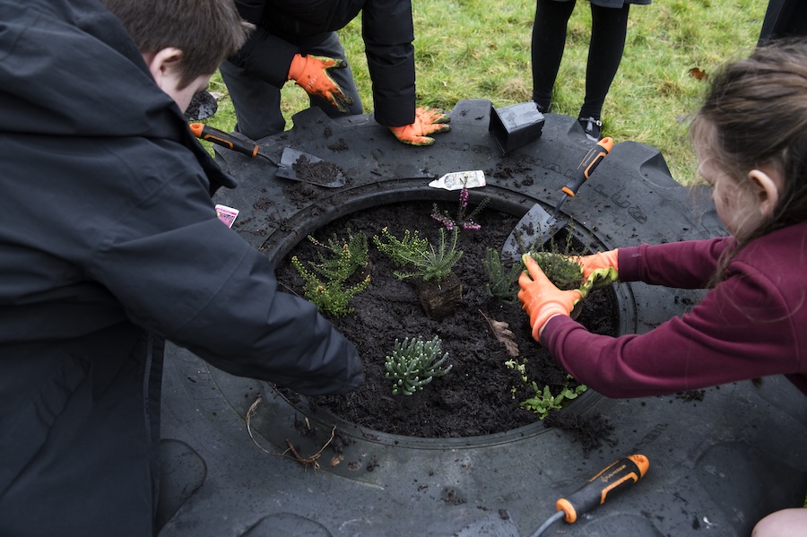 More than 40 Wild Spaces for butterflies and people to be created across Glasgow