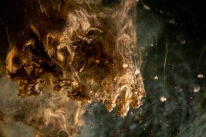 Pourquoi les choix climatiques à long terme sont difficiles à faire – explique un philosophe