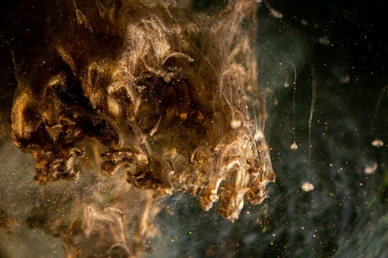 Pourquoi les choix climatiques à long terme sont difficiles à faire – explique un philosophe