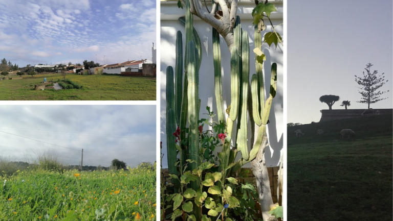 Sanlúcar de Guadiana et ses environs : guide complet de la nature, du trekking et du glamping à la frontière entre l'Espagne et le Portugal