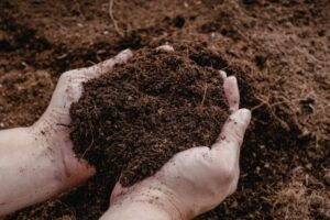 Séjours à la ferme régénératifs : ce que signifie réellement « respectueux des sols »