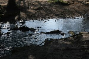 Si les rivières avaient des droits légaux, les scandales des eaux usées seraient bien plus difficiles à ignorer