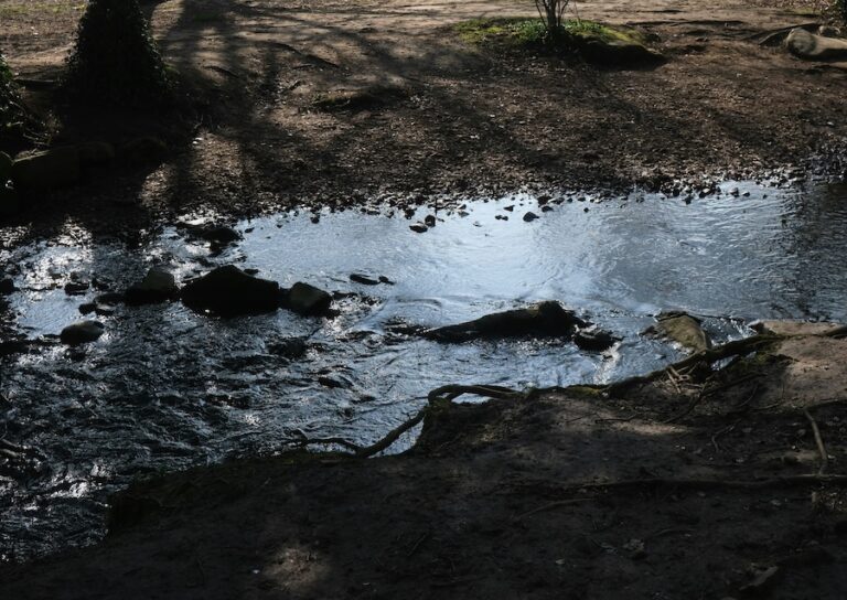 Si les rivières avaient des droits légaux, les scandales des eaux usées seraient bien plus difficiles à ignorer