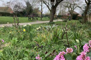 Vie du parc ; quelle est la qualité de nos espaces verts publics pour la faune ?