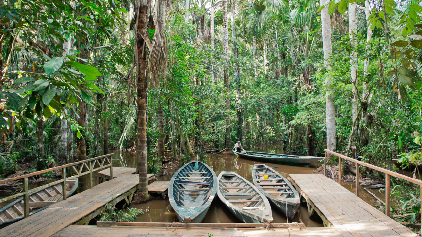 Que faire dans la réserve nationale de Tambopata