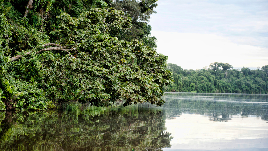Excursions sur la rivière Tambopata
