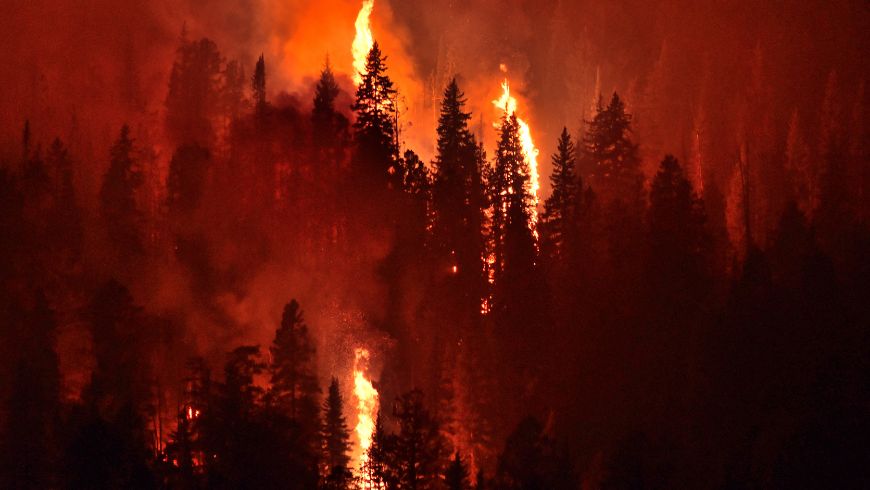violence climatique, incendies de forêt de plus en plus fréquents en raison du changement climatique