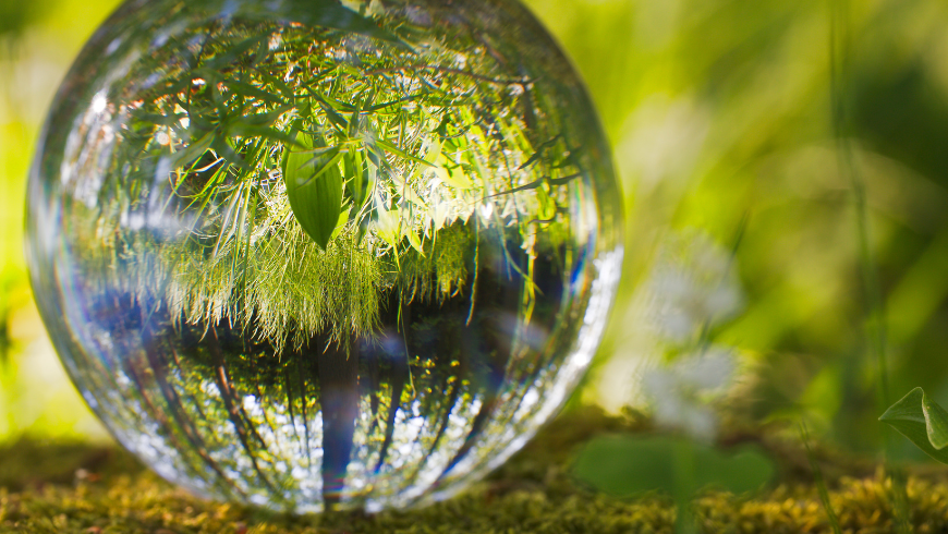 paysage naturel symbolisant les bienfaits des sons de la nature pour le bien-être