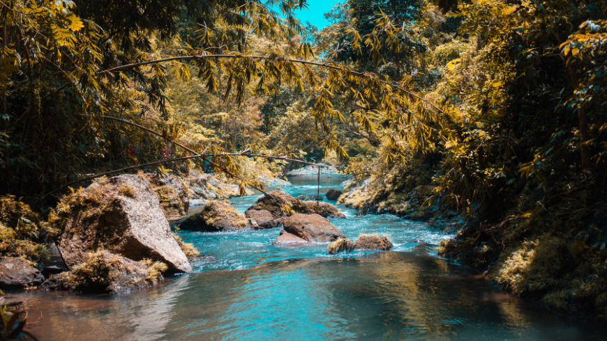 rivière dans la forêt représentant des sons naturels utilisés en musicothérapie.