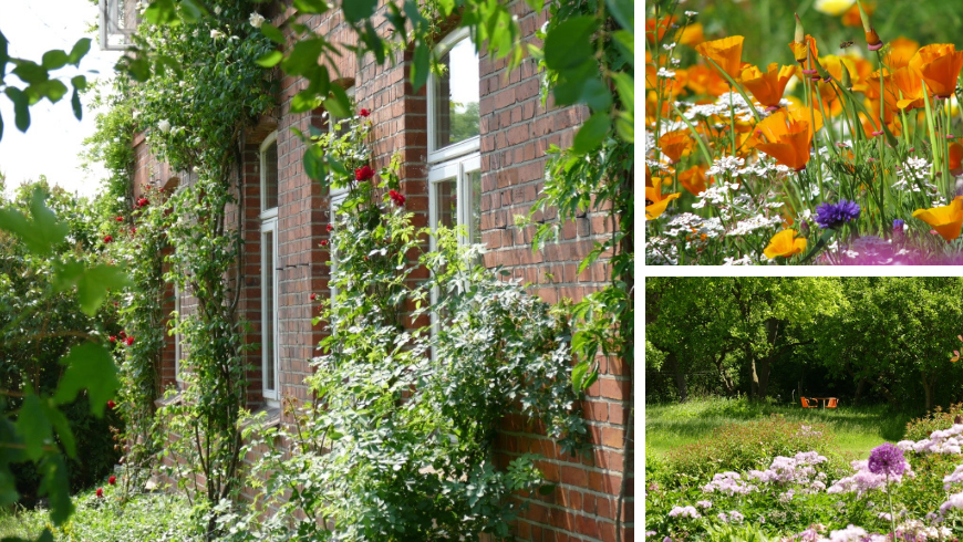 immersion dans la nature, sons, senteurs et couleurs ferme biologique Allemagne 