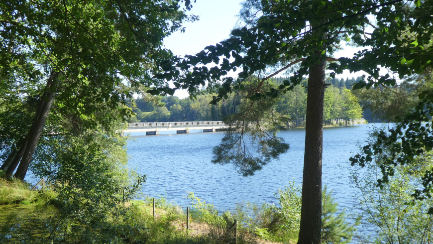 Rives du lac de Vassivière entourées de forêt dans la région de la Creuse, France.