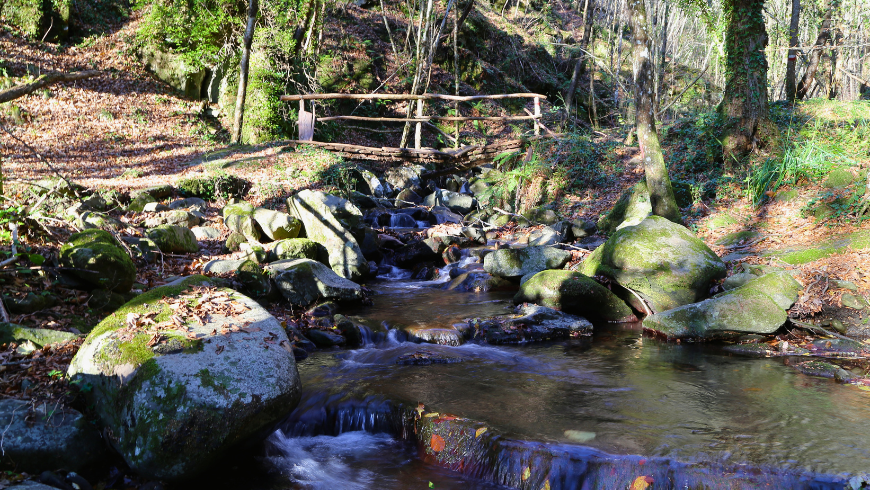 Que faire dans le parc national des forêts du Casentinesi