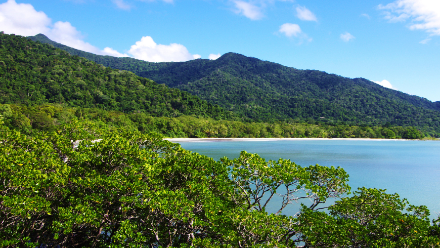 Forêt tropicale, montagnes et mer de Daintree