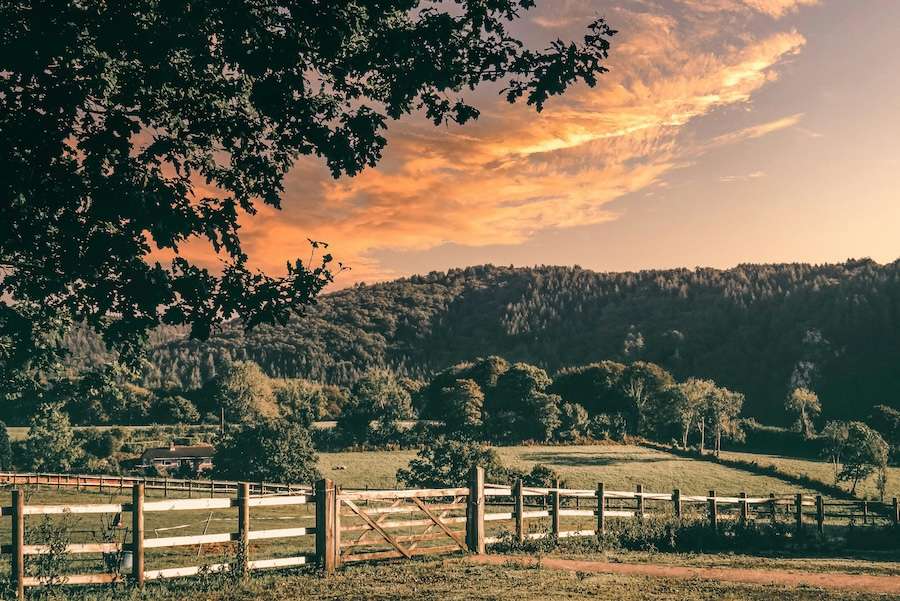 Welsh countryside – what Greens and Reform are promising they would change after election