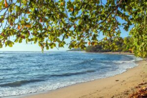 Le coût environnemental caché des courtes escapades et comment le réduire