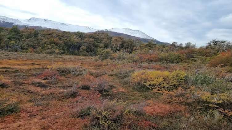 Peatlands are vital for tackling climate change, yet scientists still haven’t found them all