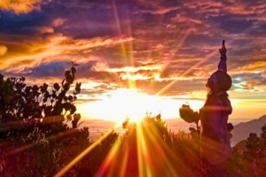 Tourisme régénératif en Colombie : le projet ALMALOCA où le voyage devient transformation