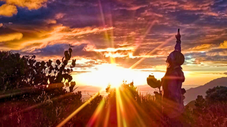 Tourisme régénératif en Colombie : le projet ALMALOCA où le voyage devient transformation