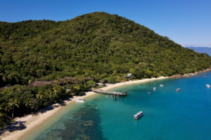 Voyage durable à Cairns, Australie : forêt tropicale, plages, communauté locale et séjours écologiques
