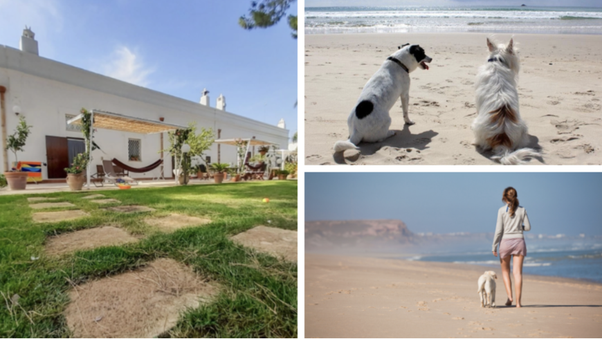 Jardin de l'Agriturismo La Stornara et chiens et propriétaires se promenant à la plage