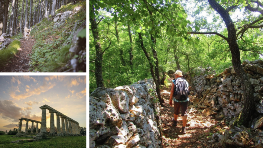 randonnée au Parco della Murgia et au temple grec 